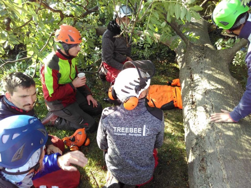 Rettungskonzepte durch TreeBee mit Erster Hilfe bei Unfall
